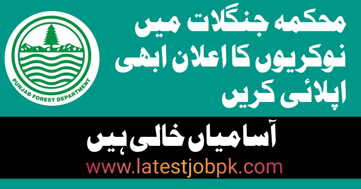 Latest Forest Department Jobs 2025