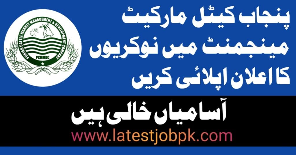 Latest Punjab Cattle Market PCMMDC Jobs 2025