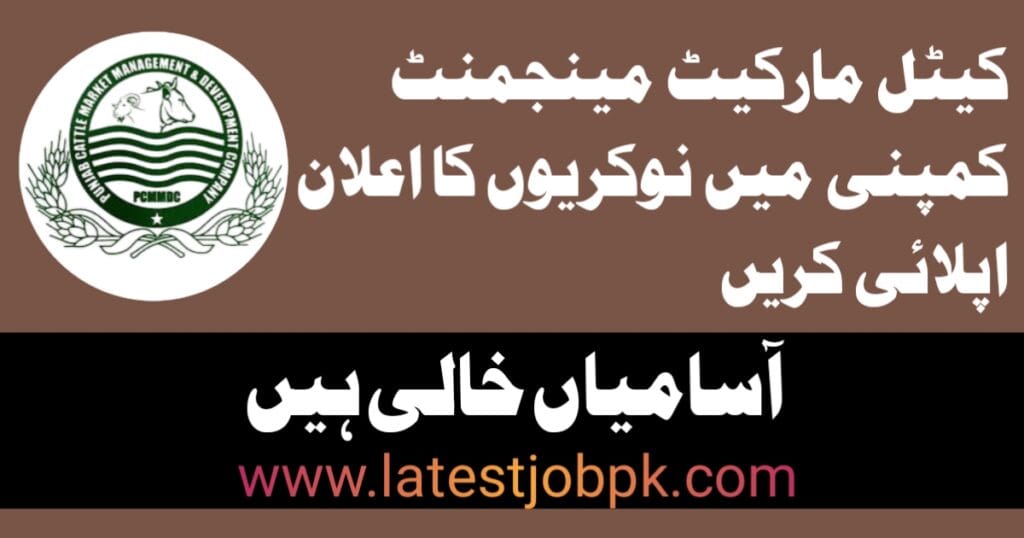 Latest Punjab Cattle Market Company Jobs 2025
