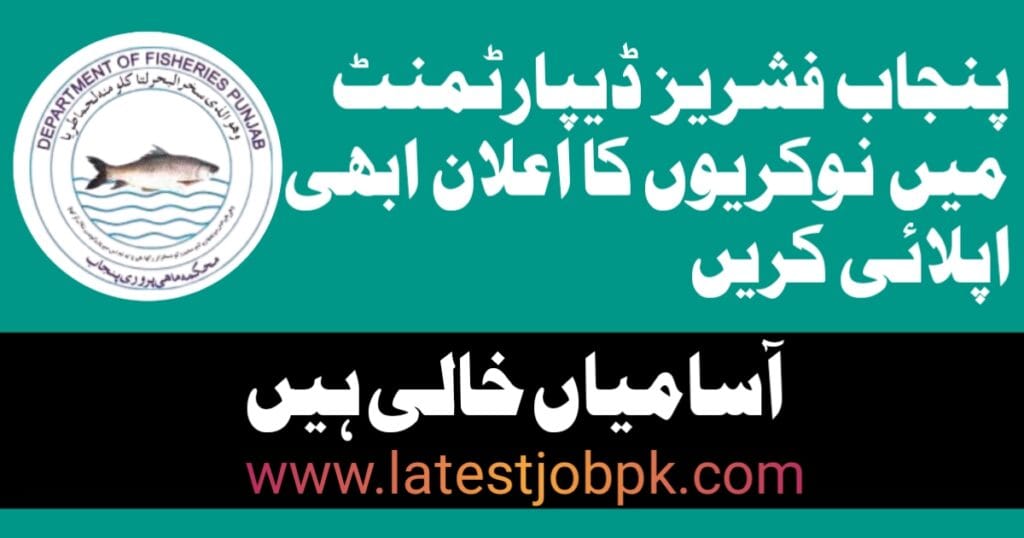 Fisheries Department Punjab Careers 2025 – Complete Job Details and Application Guide
